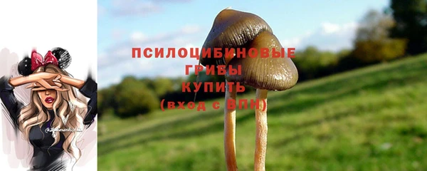 экстази Белокуриха