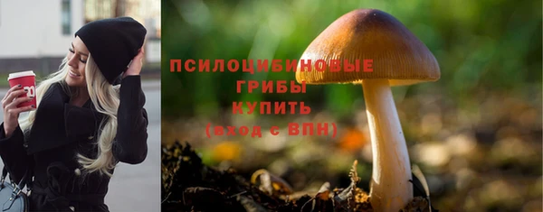 экстази Белокуриха