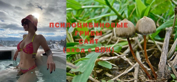 экстази Белокуриха