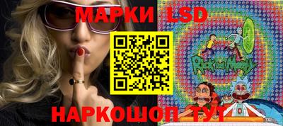 крисы Берёзовский