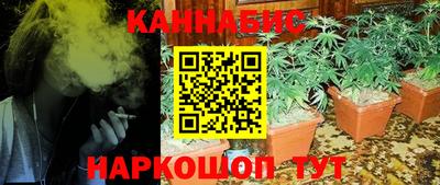 крисы Берёзовский