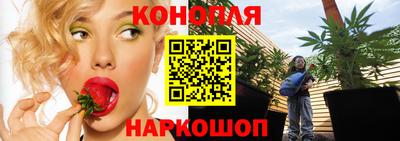 хмурый Бийск