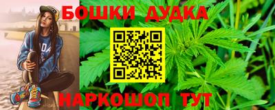 индика Беслан