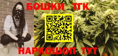 индика Беслан