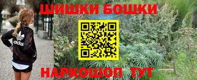 хмурый Бийск