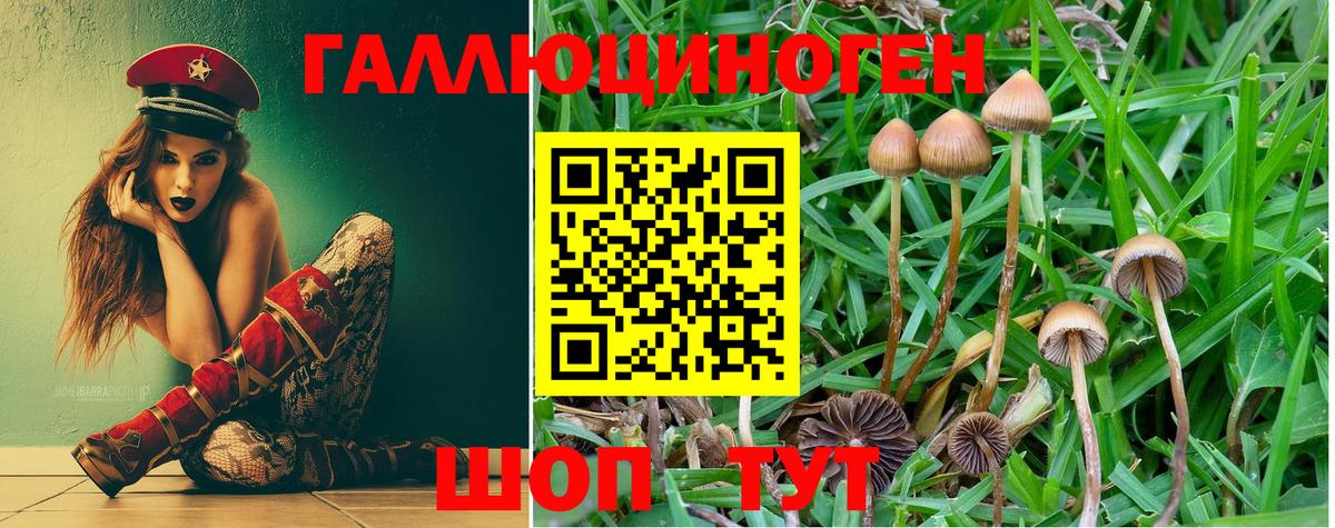 Бузулук  Псилоцибиновые грибы мухоморы  Вход с VPN 